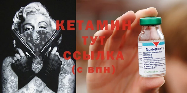 СК Алексин