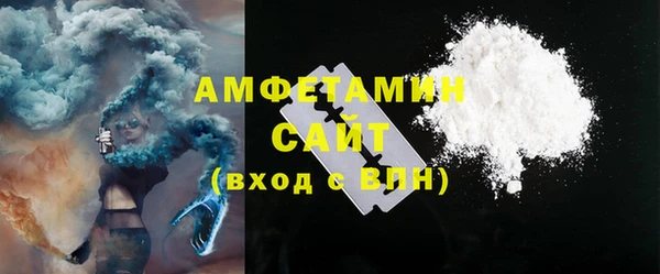 СК Алексин