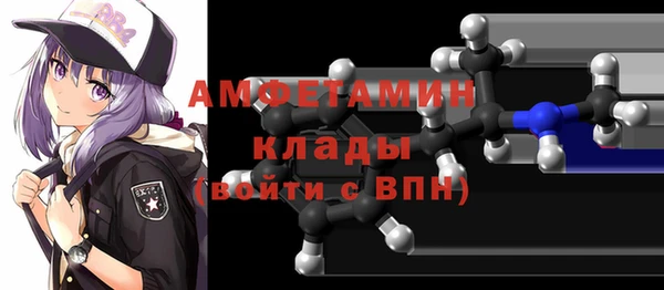 СК Алексин