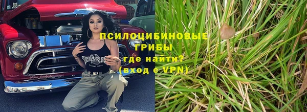 СК Алексин