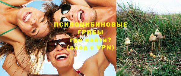 первитин Алексеевка