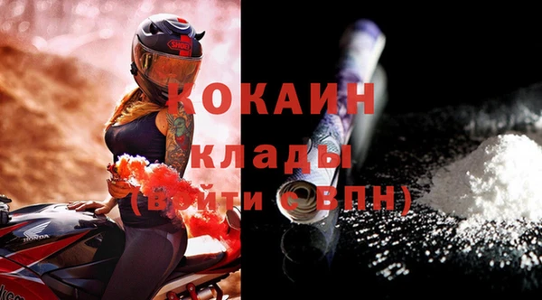 СК Алексин