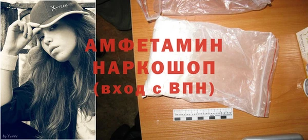 СК Алексин