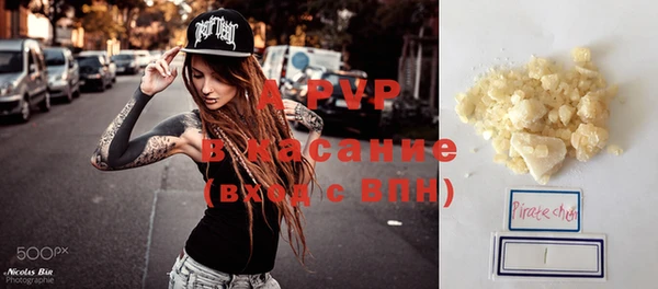 СК Алексин