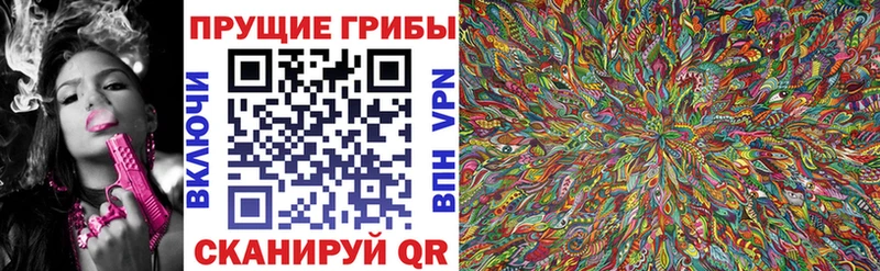 KRAKEN   где найти   Апшеронск  Галлюциногенные грибы ЛСД 